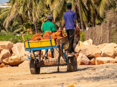 Bour, Senegal - Ocak CIRCA, 2022. Şehirlerde eşek ya da at arabasıyla yerel insan nakliyesi ve teslimat. Yerel geleneksel vagonda oturan Afrikalılar.
