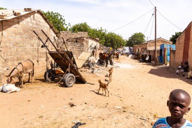 Bour, Senegal - CIRCA Mart 2021. Tanımlanamayan ciddi bir şekilde korkmuş fakir Afrikalı çocuklar ve köydeki gençler kameraya bakıyorlardı..