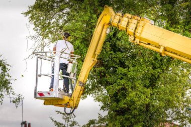 Sarı asansörde havada ağaççı adam, kontrollü sepet, ellerinde elektrikli testereyle ölü kiraz ağacı kesiyor. Tarım ve güvenlik işi kavramı