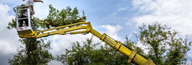 Havada iki ağaççı var, bulutlu gökyüzü, sarı asansörde, kontrollü sepet, ellerinde elektrikli testereyle ölü kiraz ağacı kesiyorlar. Tarım ve güvenlik işi kavramı