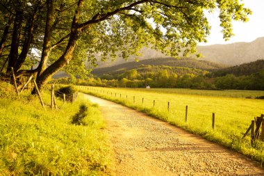 gravel road in the countryside under sunset golden light. High quality photo clipart