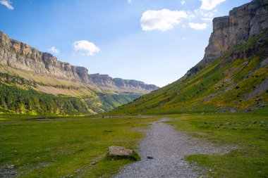 İspanyol Pirenesi 'ndeki Ordesa Ulusal Parkı' nın ormanlarındaki Dağ Kanyonu duvarları. Yüksek kalite fotoğraf