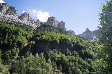 İspanyol Pirenesi 'ndeki Ordesa Ulusal Parkı' nın ormanlarındaki Dağ Kanyonu duvarları. Yüksek kalite fotoğraf