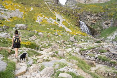 Yürüyüşçü kadın ve köpeği İspanyol Pirenesi 'ndeki Ordesa Ulusal Parkı' nda bir şelaleye yaklaşıyorlar. Yüksek kalite fotoğraf