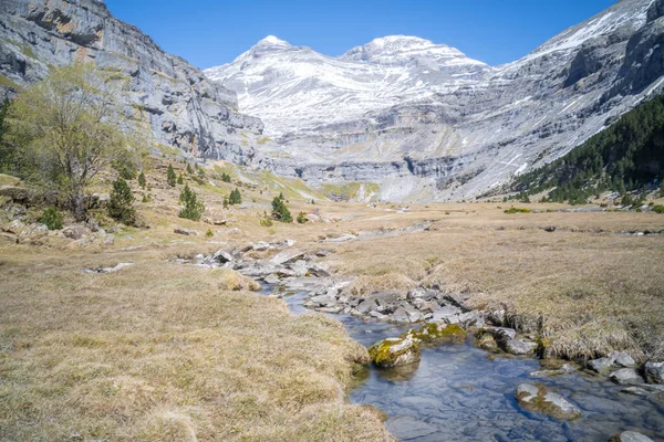 春に流れる淡水の渓流の風景写真 高品質の写真 — ストック写真