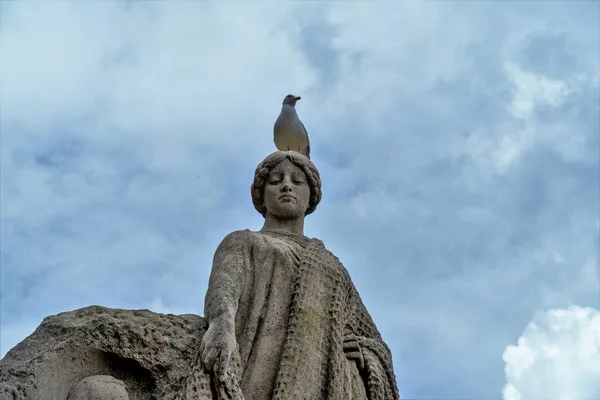 Bir Anıtın Üzerinde Oturan Kuş — Stok fotoğraf