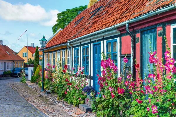 Ruas Tradicionais Cidade Cultivadas Por Flores Hollyhock Coloridas Ilha Bornholm — Fotografia de Stock