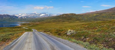 Norveç 'teki Innlandet dağları boyunca Jotunheimen Ulusal Parkı' ndaki ünlü Jotunheimvegen yolu..