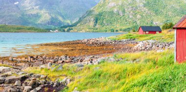 Bereketli yeşil dağları ve berrak kıyı suları olan kayalık bir sahil boyunca geleneksel kırmızı balıkçı kulübelerinin panoramik manzarası. Lofoten Adaları, Norveç