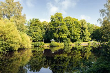 Şehir parkında yemyeşil, Svartan Nehri 'nde uzun ağaçlar ve yansımalar var. Rahatlama ve kentsel kaçış kavramı. Orebro, İsveç. Metin için boşluk