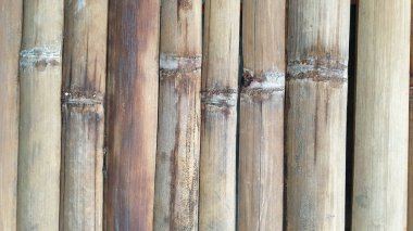Arka plan için bambu çitsiz doku