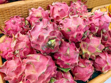 Piyasa rafında kırmızı ejderha meyvesi. sağlıklı meyve kavramı