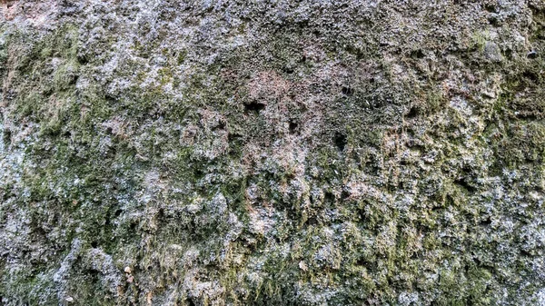 Груба Текстура Мохово Сірих Цементних Стін — стокове фото