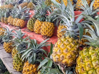 pazarda ananas yığını