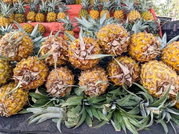 Stapel Ananas Auf Dem Markt — Stockfoto