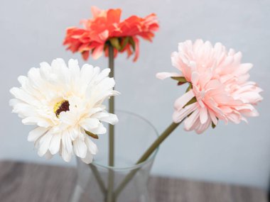 Yapay papatya çiçeği berrak cam vazoda