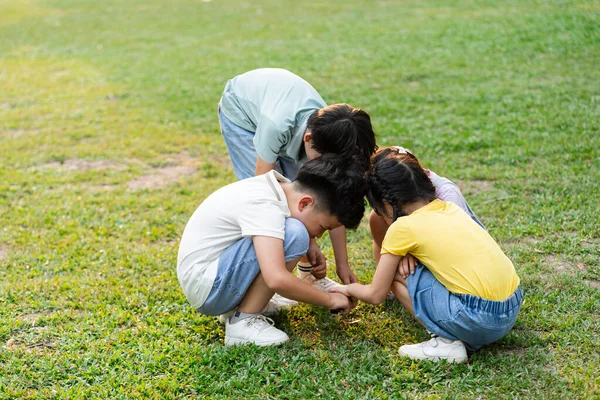 image of asian kids using magnifying glass in park