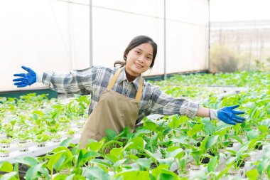 image of asian female farmer in her hydroponic vegetable garden