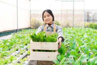 image of asian female farmer in her hydroponic vegetable garden