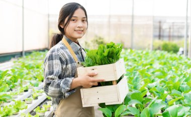 image of asian female farmer in her hydroponic vegetable garden