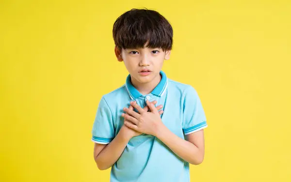 Portrait Asian Boy Posing Yellow Background — Stock Photo, Image
