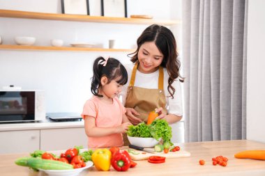 Bir anne ve kızı açık bir mutfakta birlikte yemek pişiriyor. Yemek için taze sebze doğruyorlar.