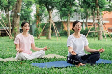 İki kadın, çimenli bir parkta yoga minderleri üzerinde meditasyon yapıyor ve doğada barışçıl farkındalığın tadını çıkarıyor.