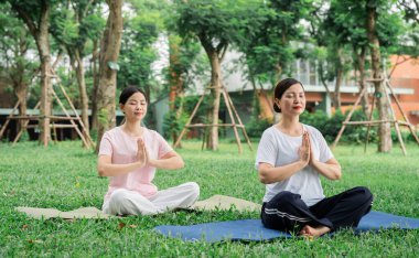 İki dingin kadın parkta meditasyon yapıyor yemyeşil çimenler ve sakin ağaçlar rahatlatıcı bir zemin oluşturuyor.