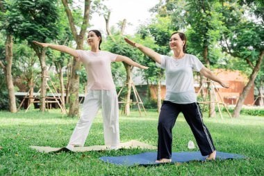 Açık havada yoga yapan iki kadın, yeşil ağaçlı park alanında yoga minderleri üzerinde poz veriyorlar.