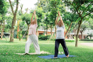 İki kadın yeşil bir parkta yoga yapıyor. Huzurlu bir şekilde ağaçlar ve çimenler. Sağlık ve sağlık.