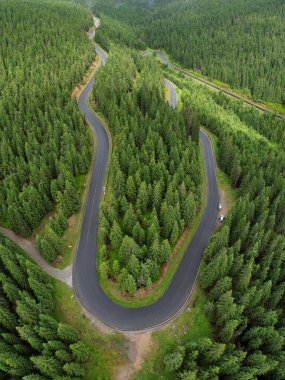Sureanu Dağları 'nın vahşi kozalaklı ormanlarının üzerindeki hava aracı panoraması. Transalpina asfalt yolu ormanda esiyor. Yaz zamanı, Carpathia, Romanya.