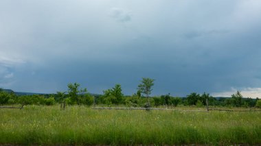 Lush grass in a field in a rural area. Stormy day, dark clouds cover the sky, storm can be seen in the background. Springtime, hilly and rural, Romania.