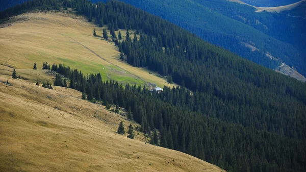 Eski, ahşap, kırsal koyun ağılları yüksek bir irtifada yüksek bir dağlık çayırdaki yabani kozalaklı ormanların arasında saklanıyor. Geleneksel Doğu Avrupa çiftçiliği. Parang Massif, Karpatlar, Romanya
