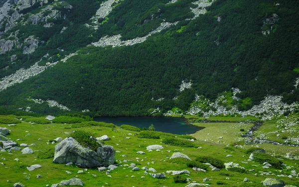 Retezat Ulusal Parkı 'ndaki bir buzulda dağ yamacında yetişen ardıç ağaçlarıyla çevrili bir buzul gölü. Bulutlu bir günde Retezat Dağları 'nın kayalık dağlarında yürüyüş yapmak. Carpathia, Romanya.