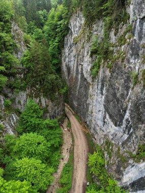 Aerial drone panorama above a narrow canyon sided by vertical, abrupt, steep cliffs. The gorges are located in Carpathia, Romania. Spring season, the tree leaves are bright green. 