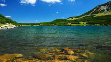 The cold and fresh waters of Galcescu glacial lake. The transparency of the waters allows the rocks from the lake's bottom to be seen. Small waves are hitting the lake's shores. Carpathia, Romania.