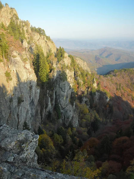 Vertical Panorama Rocky Crests Cozia Mountains Few Trees Succeed Growing — Stock fotografie