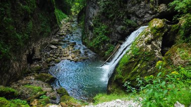 Galbena Waterfall flowing down a steep cliff through green moss. This is the entrance into Galbena Gorges, a narrow rocky canyon in Apuseni Mountains. Carpathia, Romania.