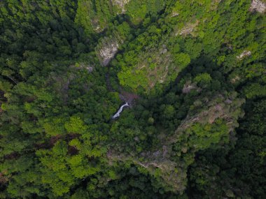 Aerial drone flight above Lotrisor valley. The valley is located in an area with beech tree forests, sharp cliffs and ravines. The river forms a waterfall. Carpathia.