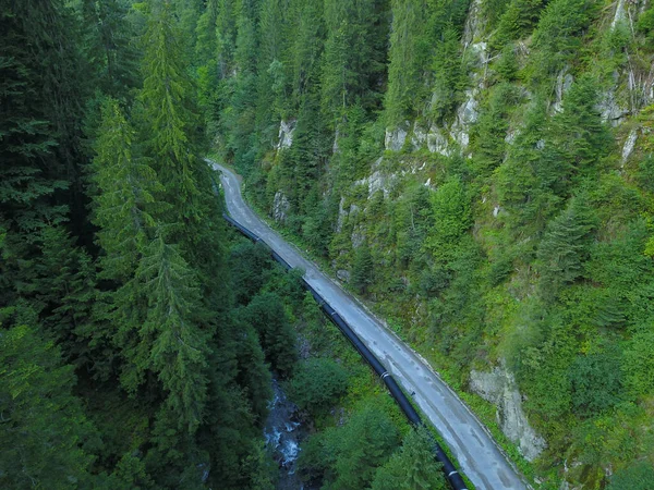 A dirt road inside a coniferous forest, located at a high altitude in Cindrel Massif. The road winds along Cibin valley. A water pipe crosses the valley with the road. Carpathia.