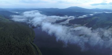 Aerial drone view above Oasa Lake and the wild spruce forests in Sureanu Mountains - at dusk. Fog and clouds are covering the water luster. Carpathia, Romania.