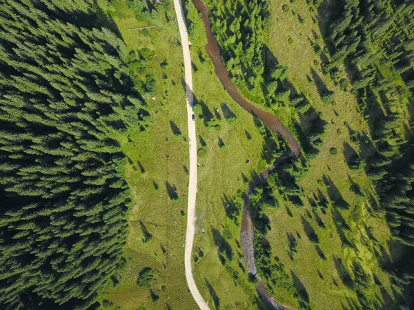 Aerial drone view of a forest gravel road winding along a green beautiful glade and spruce forests and a small stream. Sureanu Mountains, Romania.