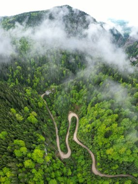 Aerial drone panorama above a narrow canyon winding through wild woodlands. Rainy day. Low altitude clouds form above the forest. Spring season, the tree leaves are bright green. 