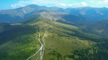 Aerial drone view over the green alpine grasslands of Parang Massif. The summits are surrounded by numerous wild spruce forests. A dirt road crosses the pasture. Carpathia, Romania