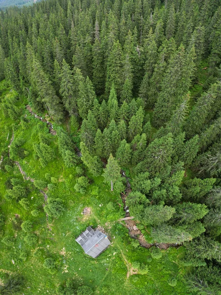 Aerial drone flight above a spruce woodland. A small stream flows along the forest near a log cabin used by hikers to sleep in the mountains. Carpathia, Romania