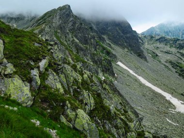 Lichen growing on boulders found high up in the mountains. Sharp and extreme terrain on the alpine peaks. Snow is still present. Foggy day. Carpathia, Romania