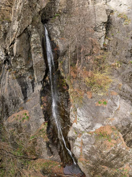 Aerial drone of a tall waterfall formed by a small spring falling from a vertical, abrupt cliff or stone wall. The gorges are located in Cozia National Park. Carpathia, Romania. Springtime.