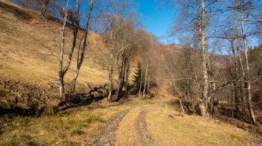 Car tracks winding through traditional gardens and orchards. Rural landscape in springtime season. Sunny day over the hills of Oltenia, Romanian region