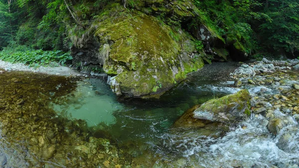 A river flowing rapidly along a stony watercourse. A giant rock covered with moss stands on the water's edge under a spruce forest. Clean, fresh water in the mountains. Carpathia, Romania.