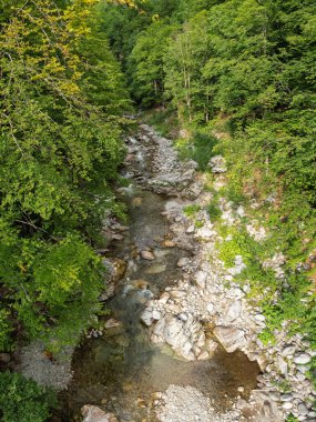 Drone view from tree crown level above a mountain river flowing through a rocky watercourse. The valley winds along wild beech forests. Carpathia, Romania